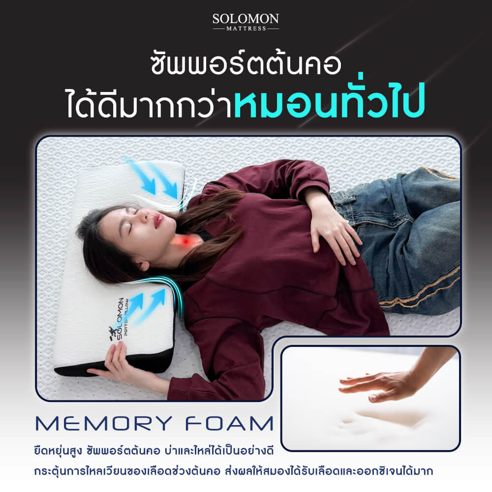 หมอนเมมโมรี่โฟม SOLOMON รุ่น POTTER PILLOW_3